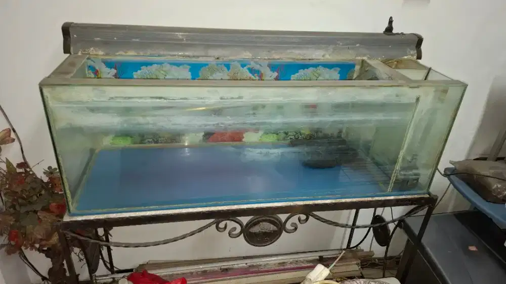 [WTS] Aquarium Full Set + Rak Besi Tempa (Kondisi Kokoh & Siap Pakai!)