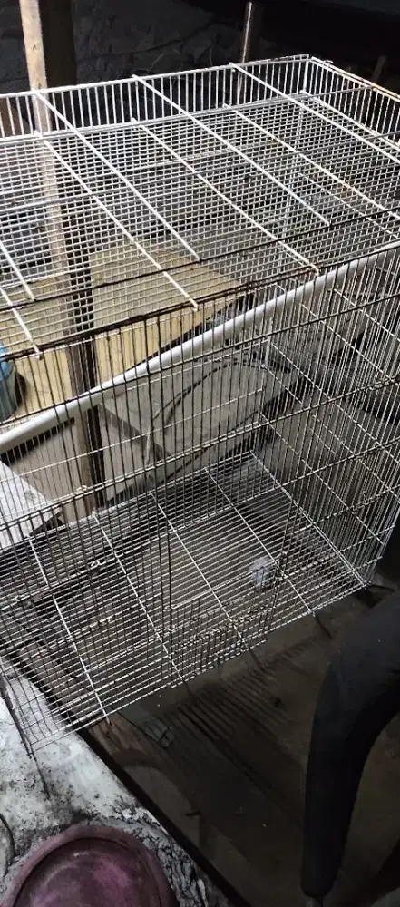 Kandang Hewan cukup besar