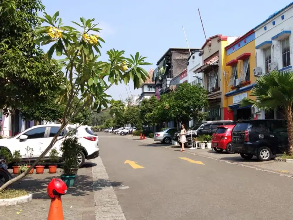 Dijual Ruko Strategis Plaza Niaga 1 Sentul City, Depan AEON, Harga 1,7 M Nego