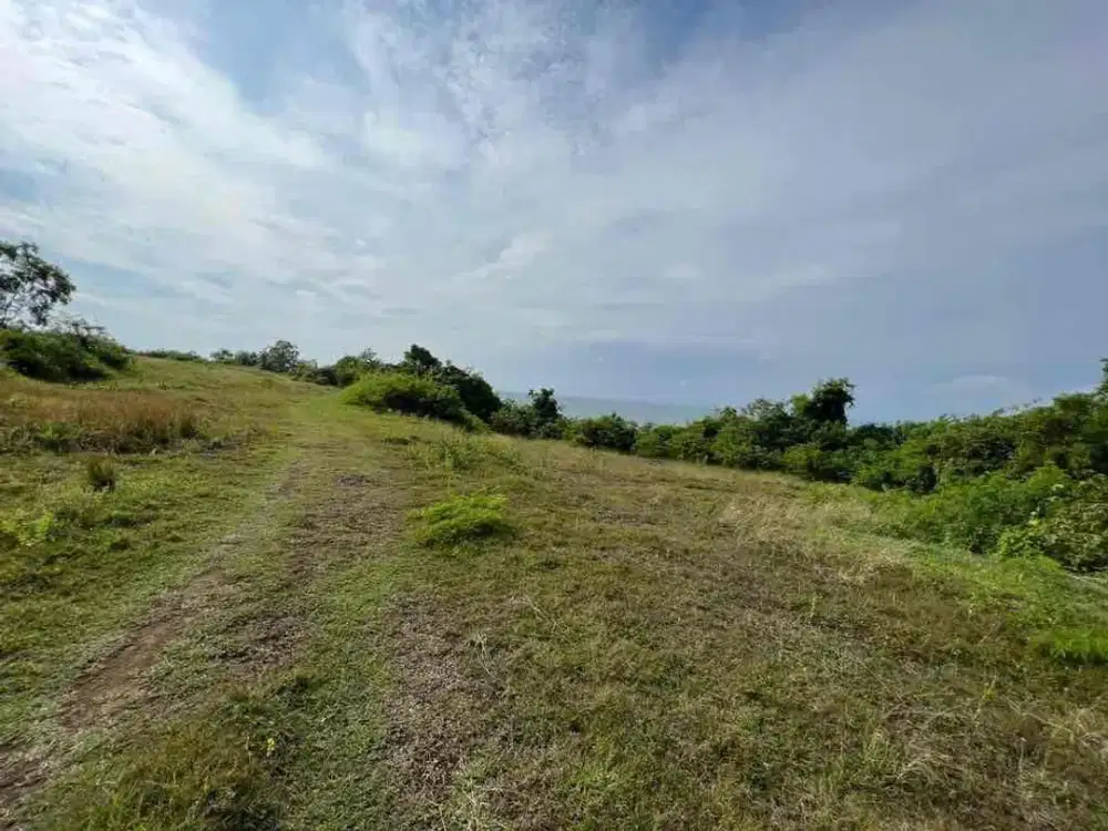 Dijual Tanah Los Tebing Berliannya Pecatu
Lokasi - Jalan New Kuta Raya