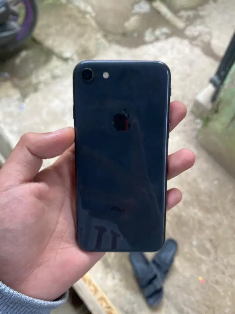 iPhone 8 256Gb inter