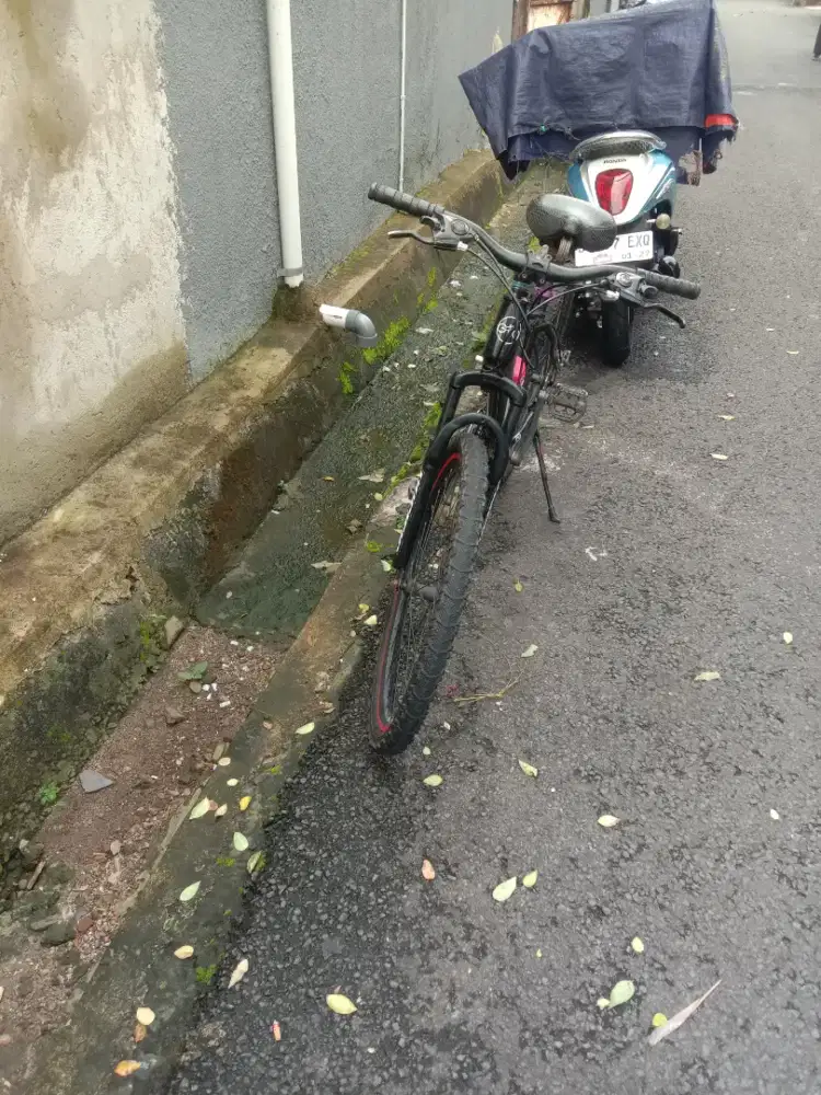 Sepeda MTB UK 26 merek pacific