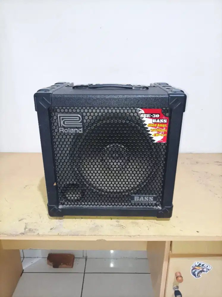 Roland Cube Bass 30