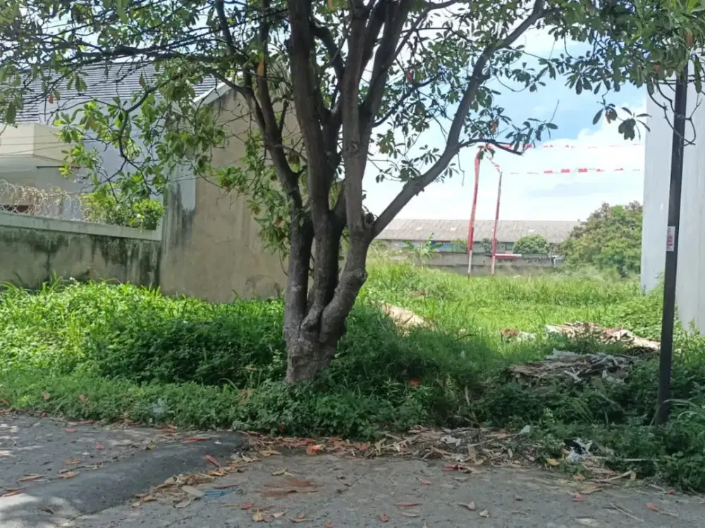 Tanah Siap Bangun Taman Holis Indah 2 Blok A4 Nego Sampe Jadi