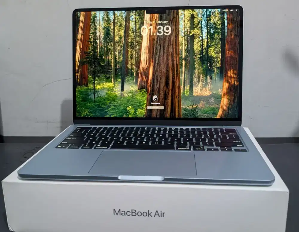MacBook Air M4 Skyblue 13 inci