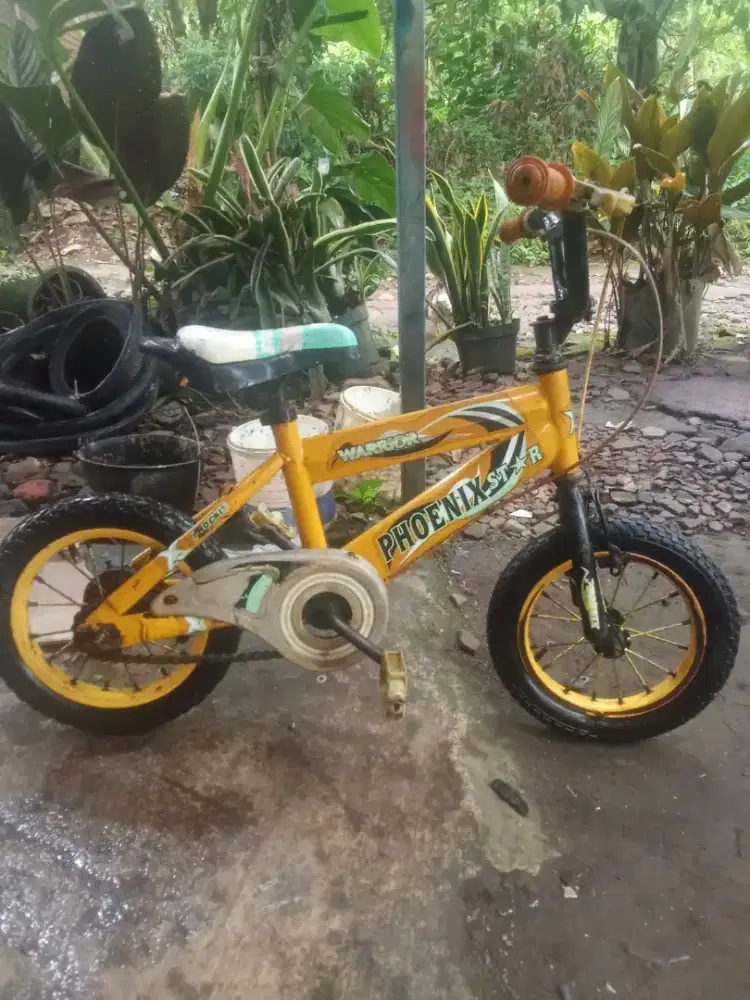 Sepeda united 12 anak