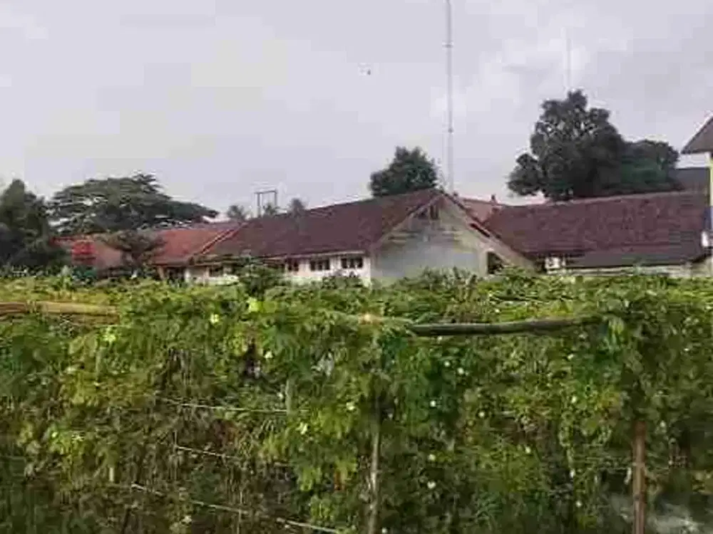 jual tanah murah LT 3600m², shm,  leuwisadeng