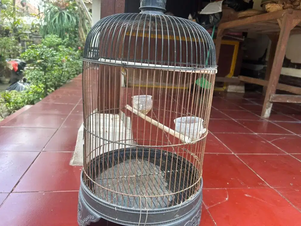 Sangkar burung warna hitam