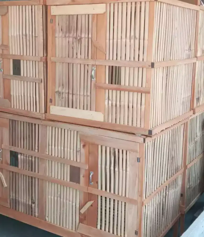 Kamdang ayam bamboo bermacam ukuran