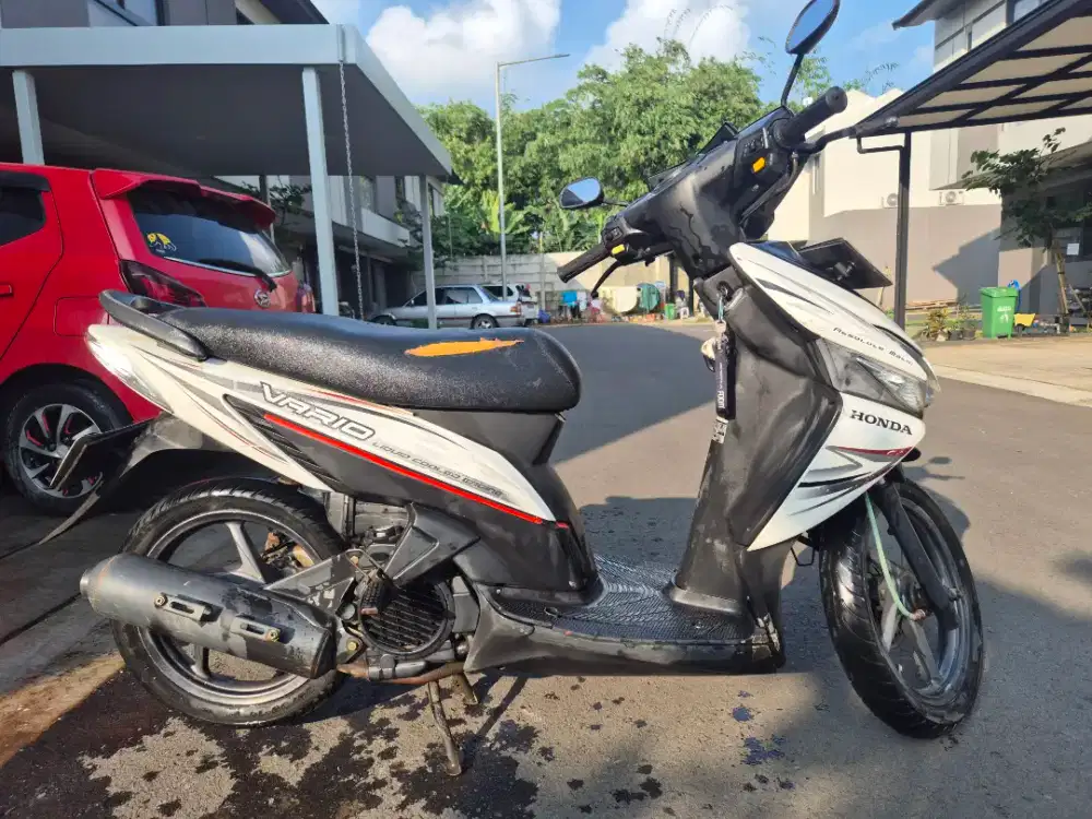 Vario Karbu 2014 CW