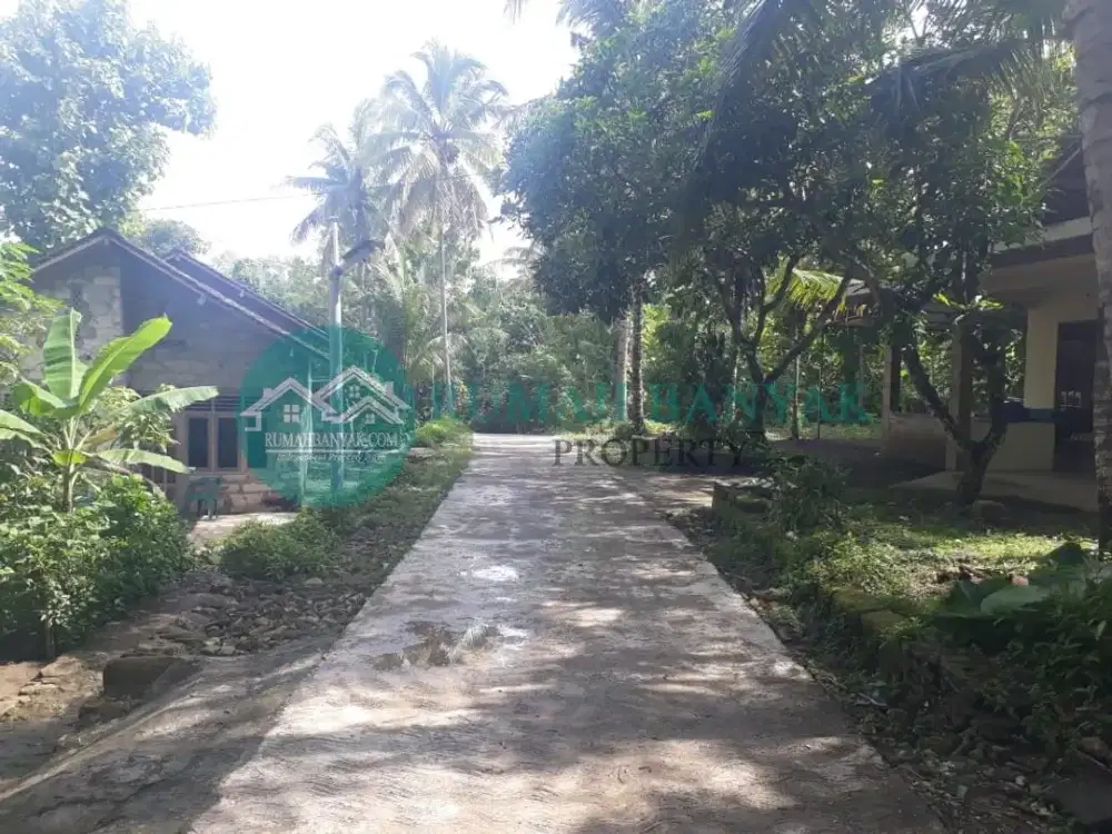 Jual Tanah Pekarangan Murah Di Pajangan Bantul Cocok Untuk Hunian & Investasi, Hanya 400 Ribu Per Meter !