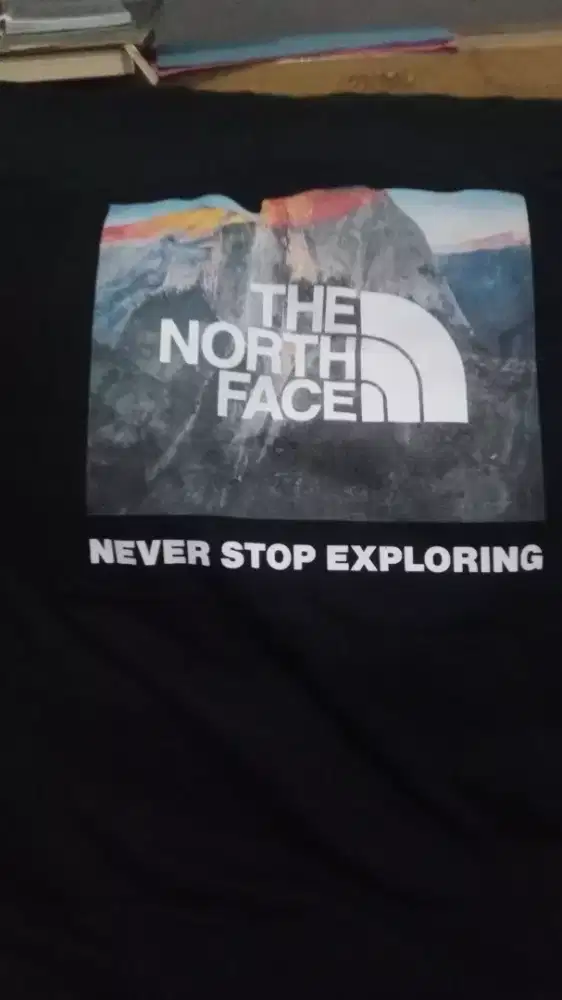 T-shirt the north face