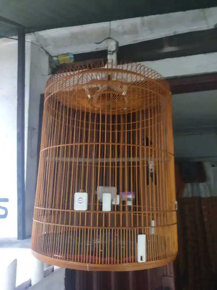 Jual kandang murai