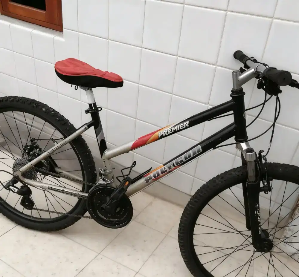 Sepeda gunung MTB polygon premier lady