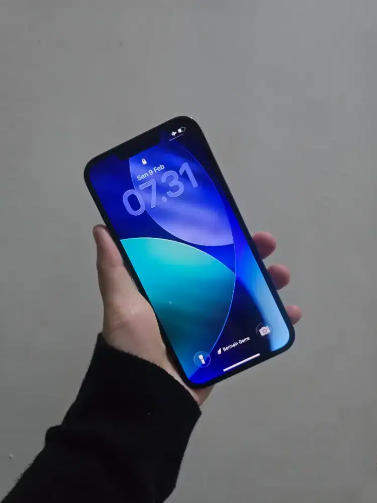 Iphone 13 Pro 256Gb ibox