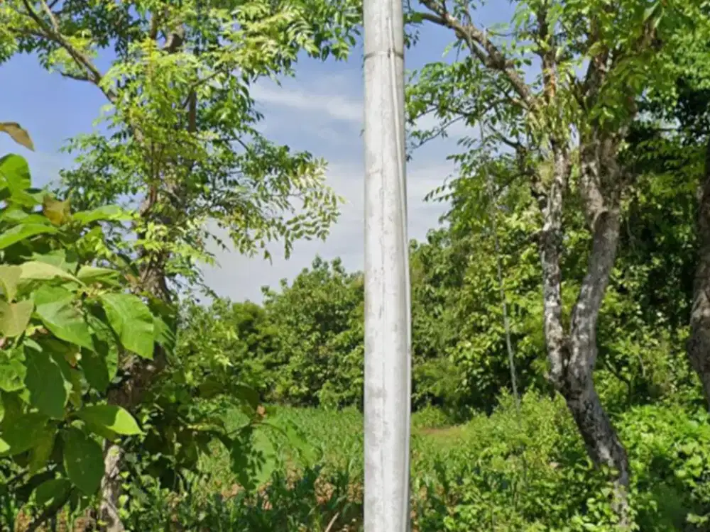 Dijual Lahan Desa Sukolilo Timur Bangkalan Madura