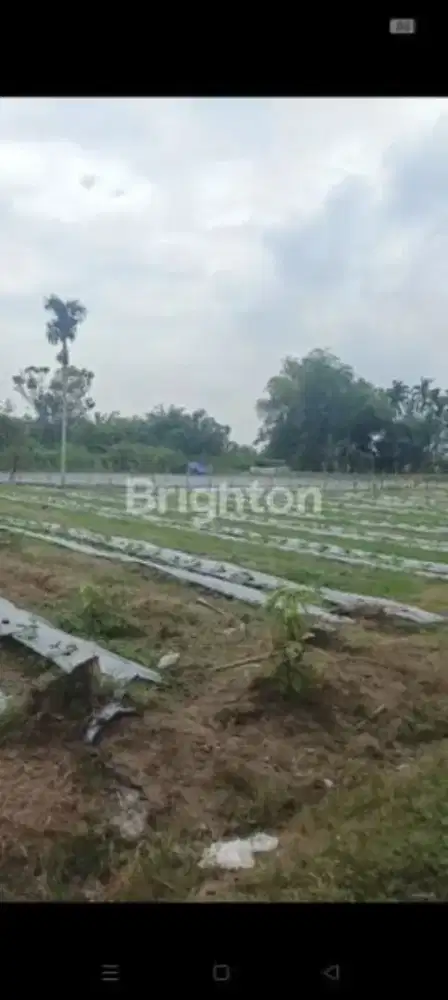 Tanah Kosong untuk Perumahan Subsidi