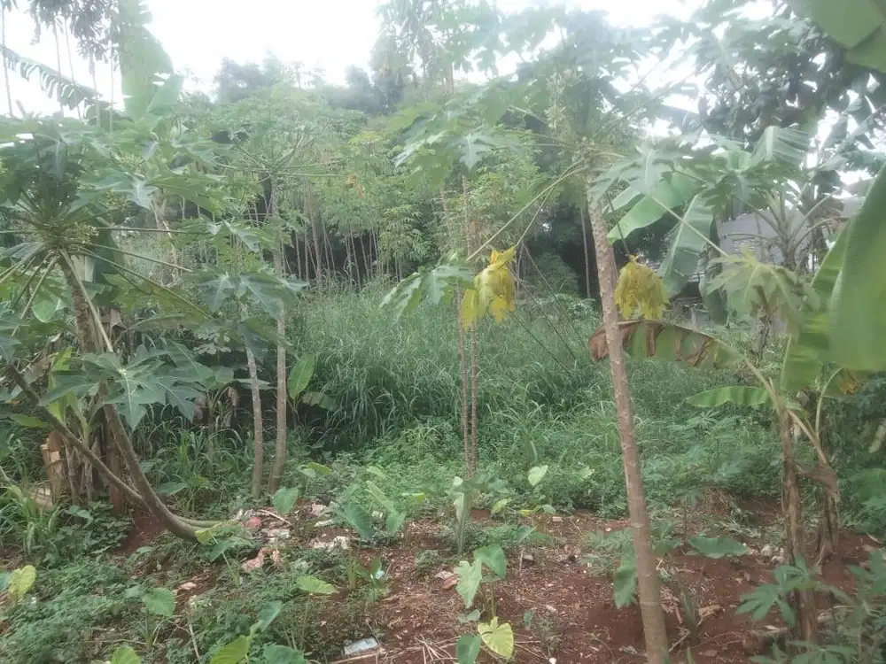 Tanah dengan lokasi strategis di Parung, Bogor