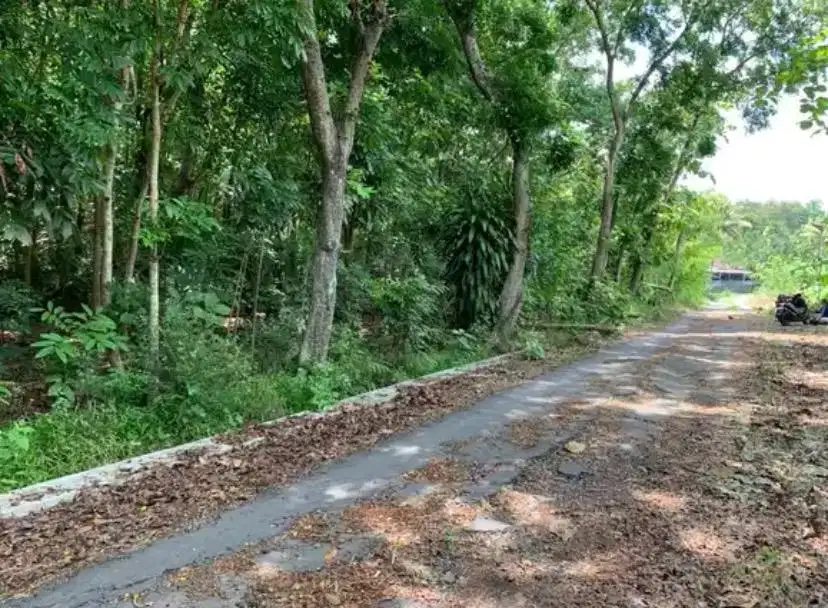 Tanah Kering/Pekarangan Dengan Muka 29m Hadap Jalan Lebar Free BBN