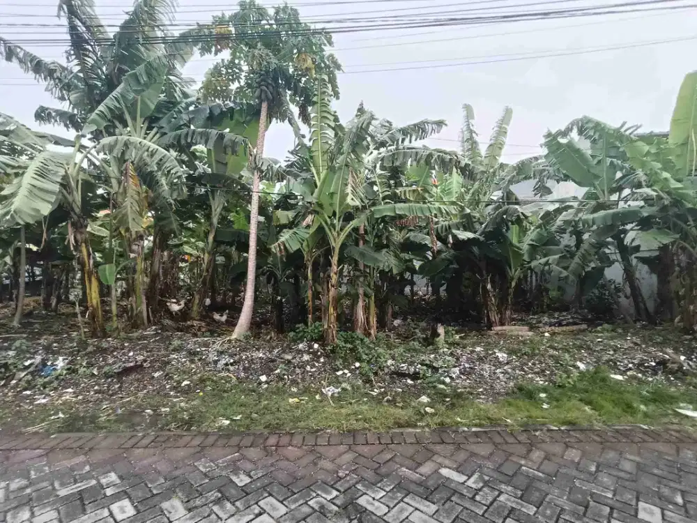 jual kavling tanah Perumahan IKIP Rungkut sebelah UPN, bisa dibangun 4-5 rumah, bisa dibangun kost2an