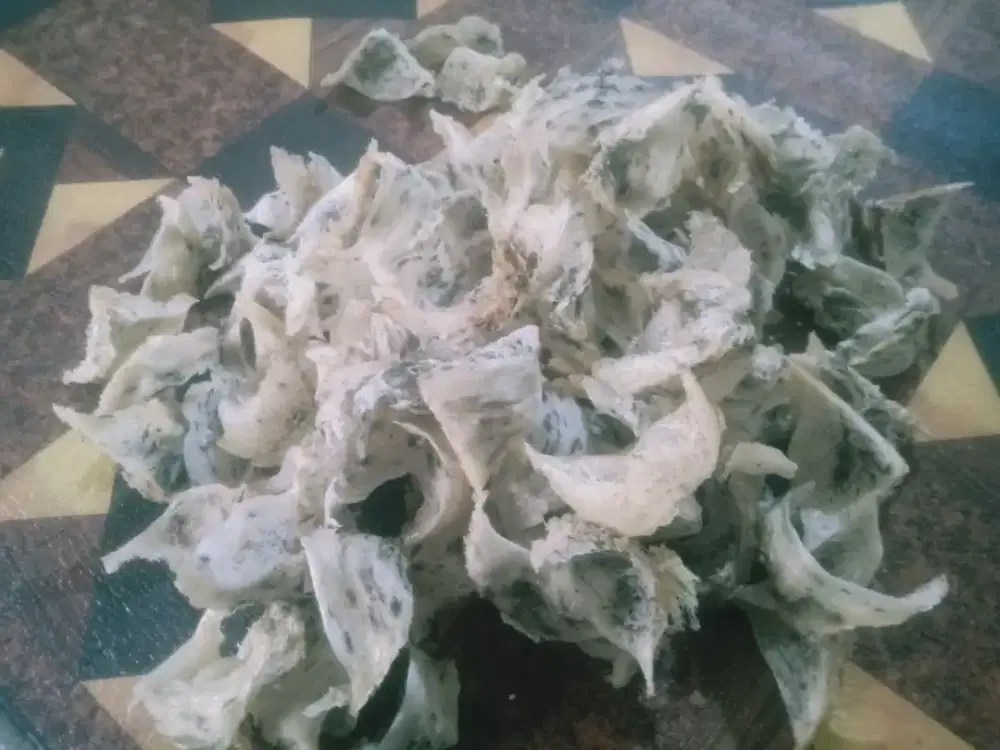 terima sarang burung walet