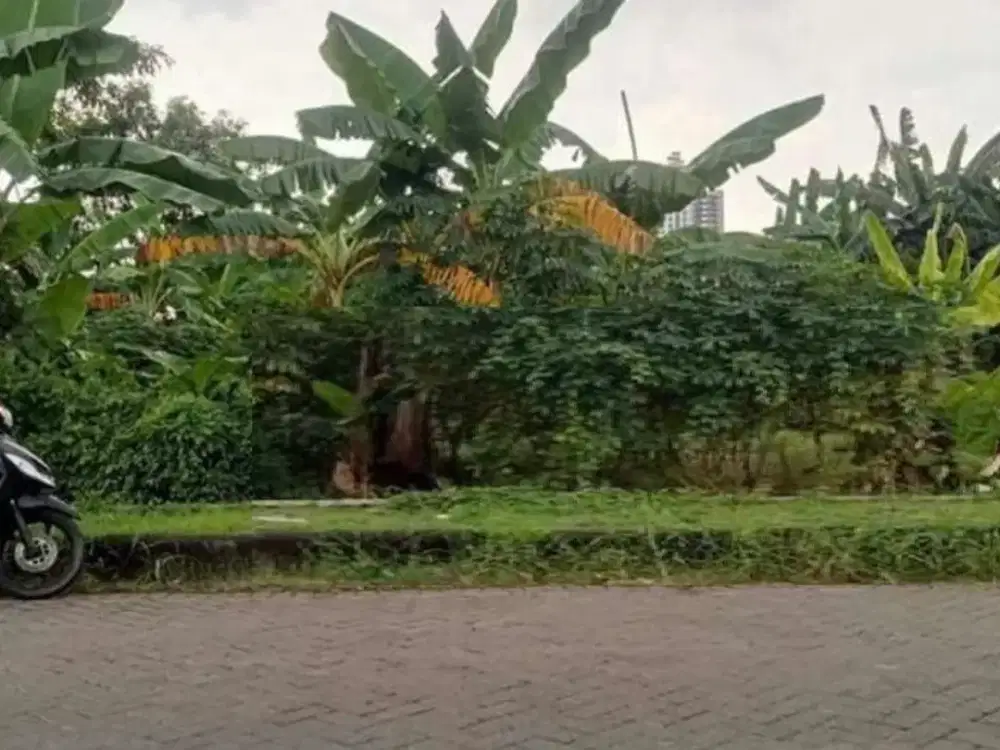 Dijual Tanah SHM di Gayungsari Timur Surabaya