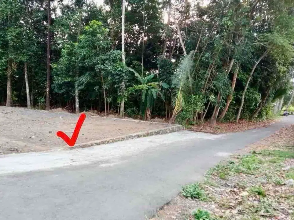 Tanah strategis di Seputaran Tempel Dekat Ibarbo Jalan Magelang
