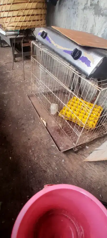 Kandang besi serbaguna