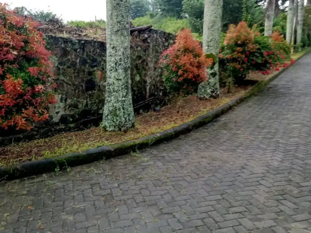 Booring Hill Side Puncak Booring Malang