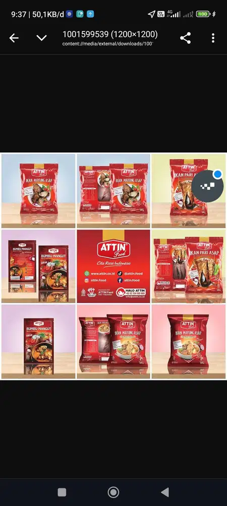 Frozen yogurt untuk ibu rumah tangga