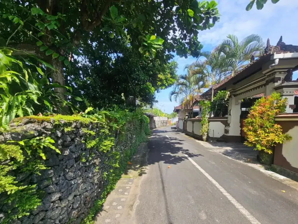 Tanah Kuwum Kerobokan Badung Bali