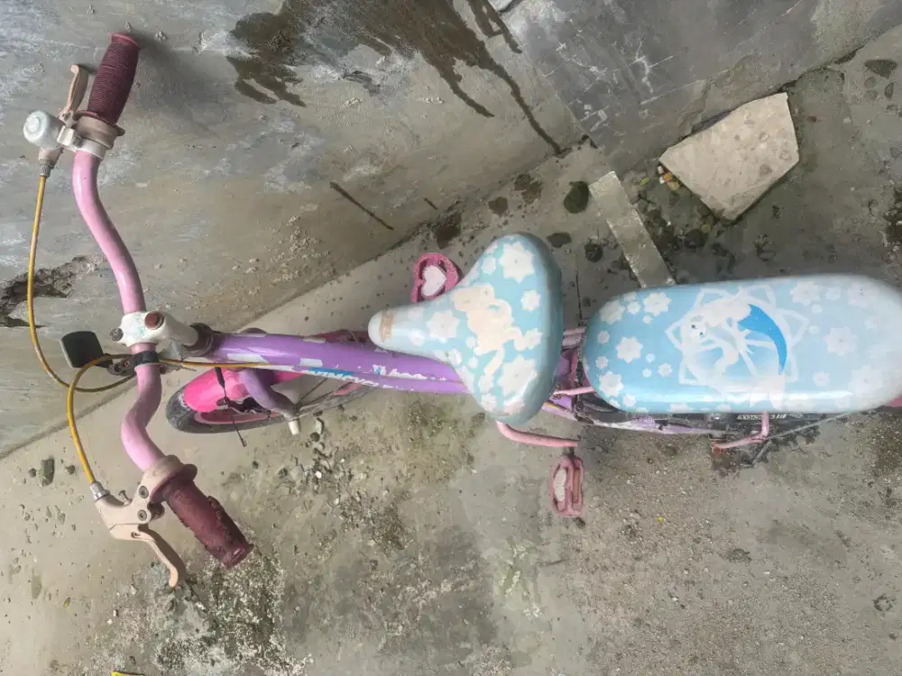 Sepeda anak preloved merk wimcycle