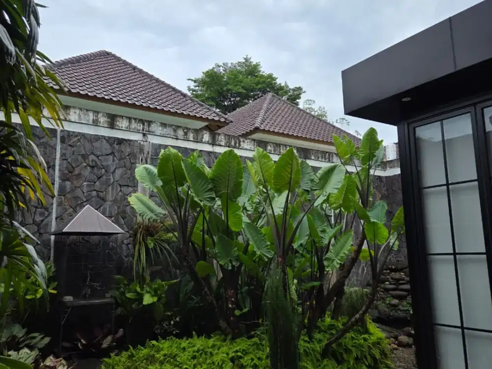 Dijual Rumah 3 Lt Cluster De Heleconia De Park BSD City