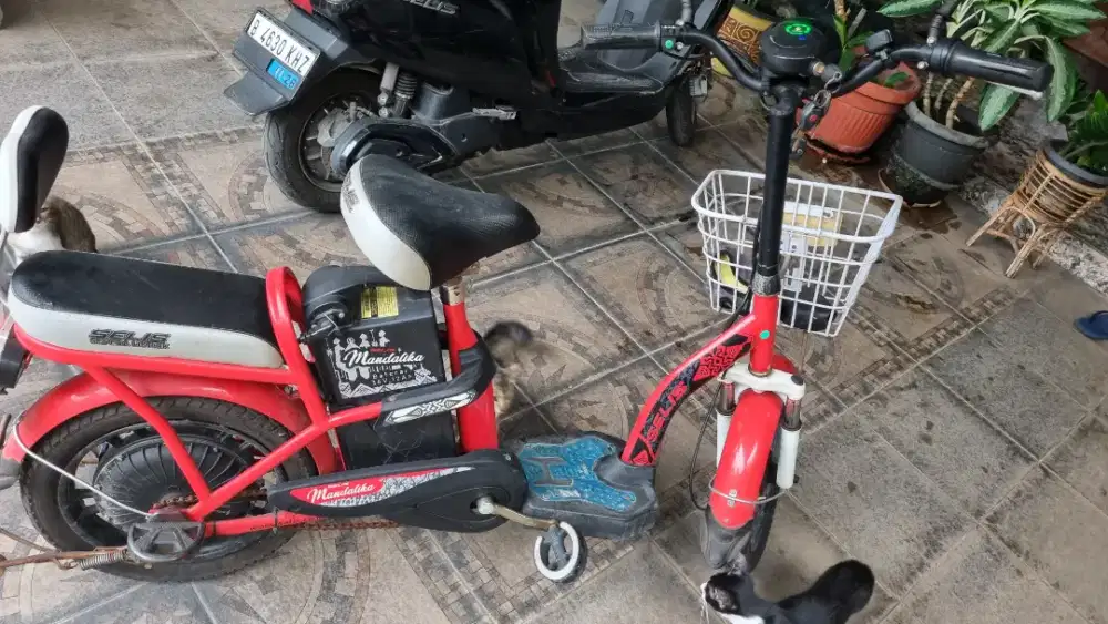 Jual Sepeda Listrik Selis Bekas Bagus