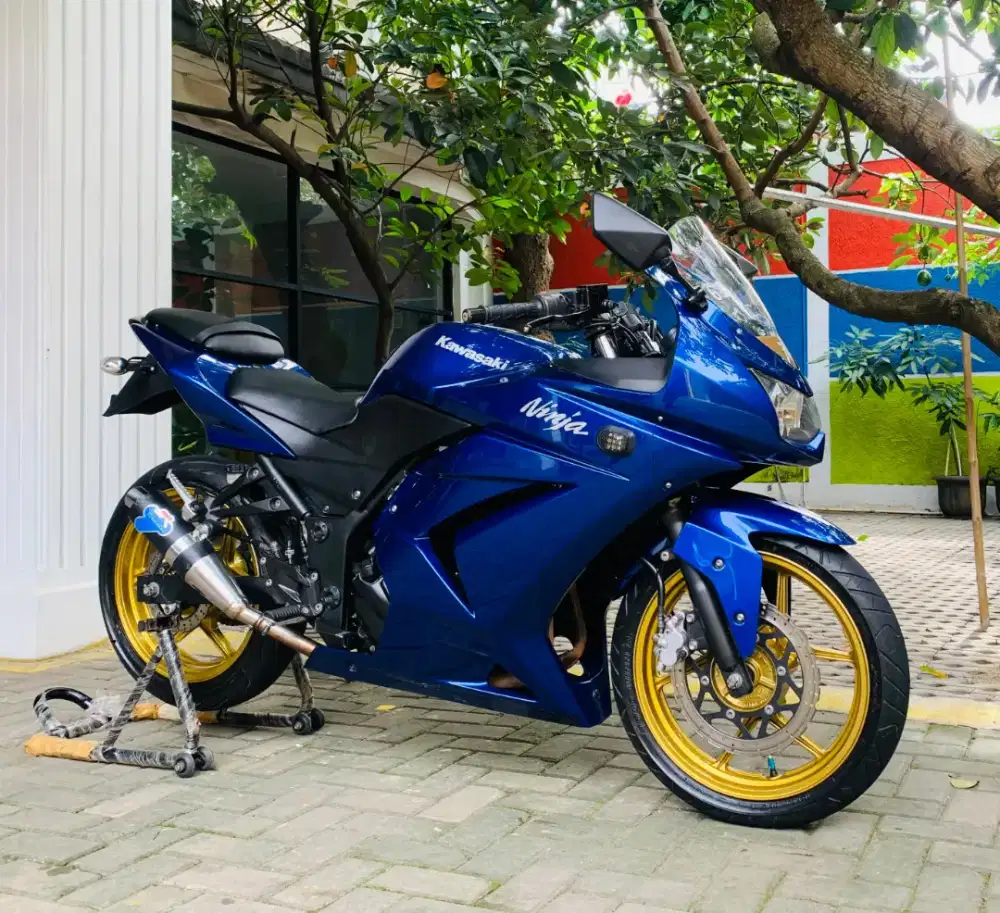 Kawasaki ninja 250 karbu