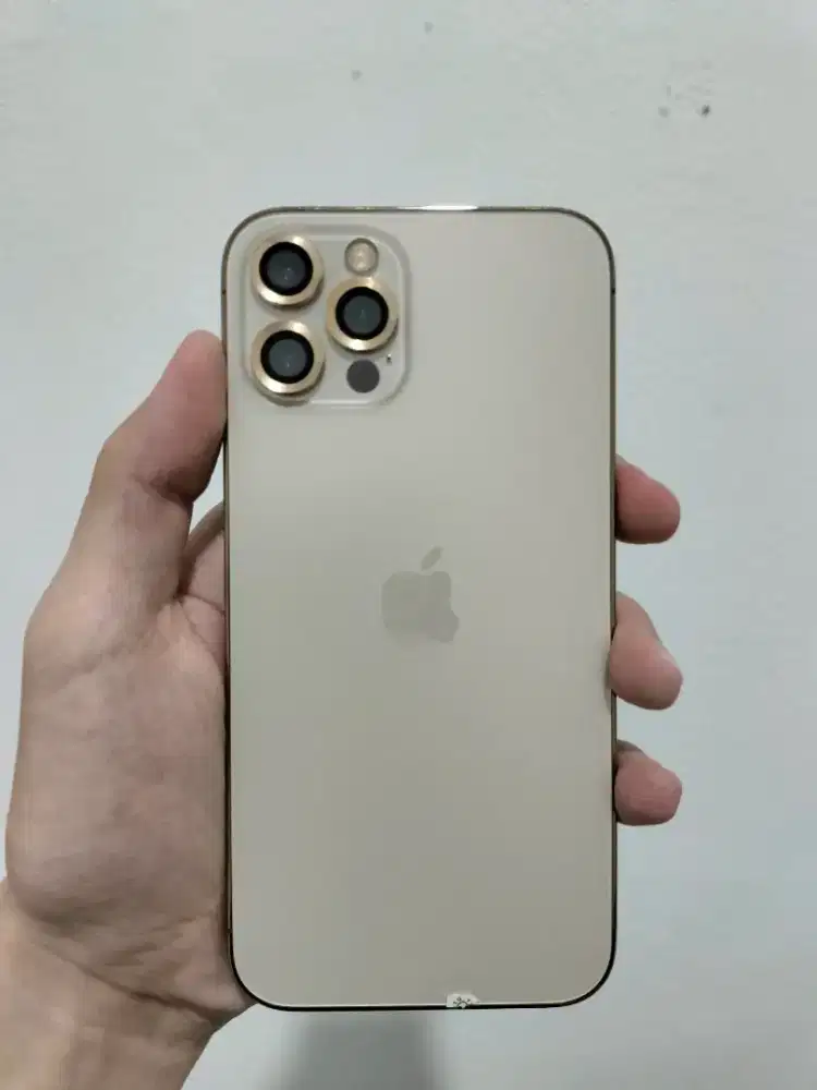 Jual Apple iPhone 12 Pro 256GB/6GB