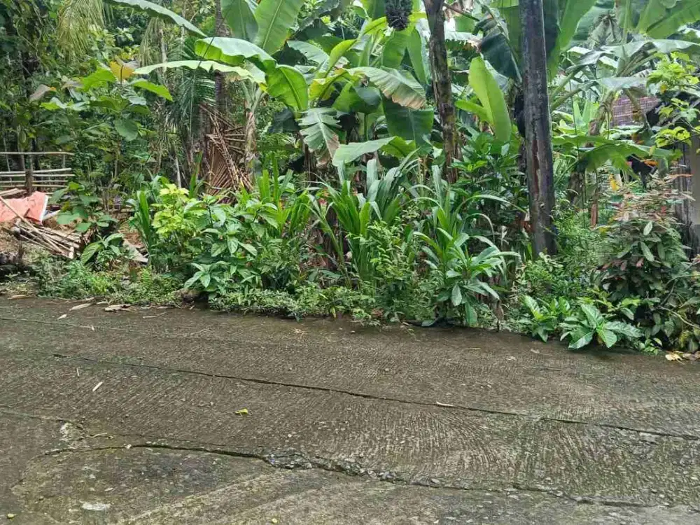 Dijual tanah pekarangan lokasi sangat strategis