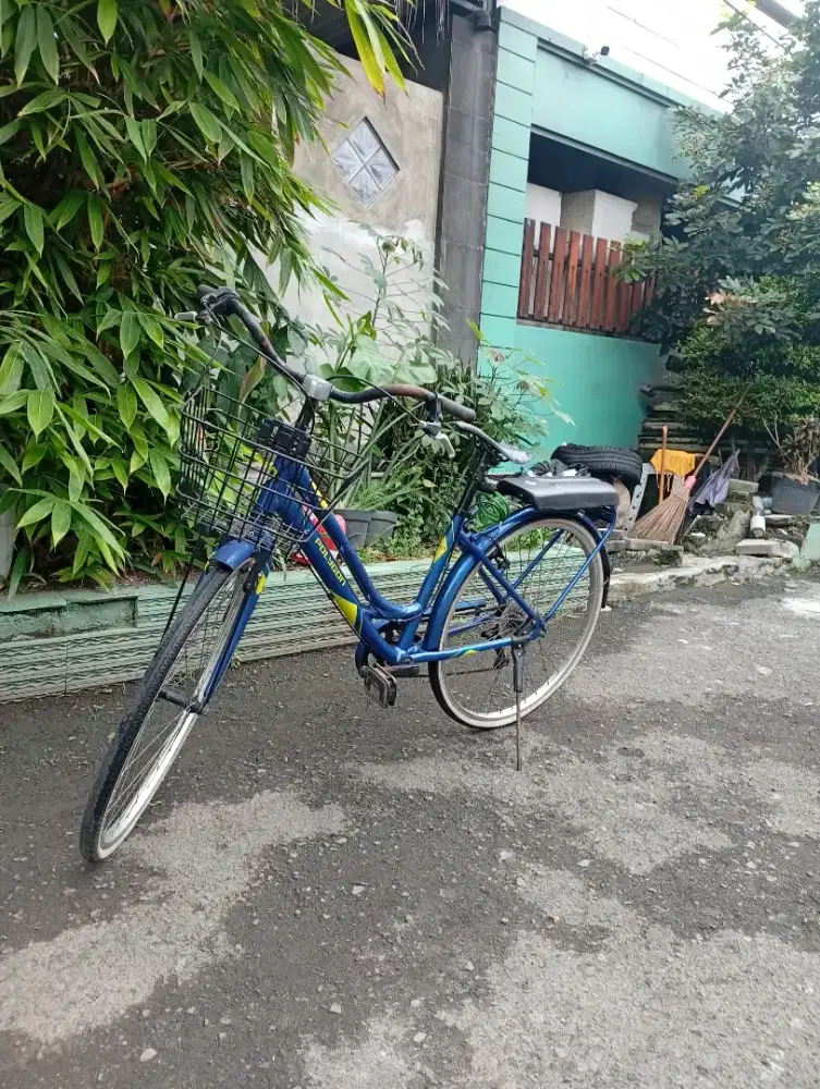 Sepeda cewek Polygon