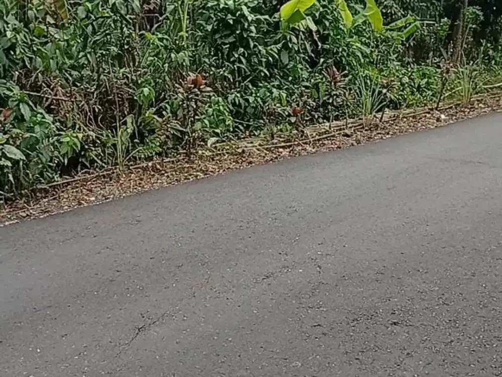 Tanah Murah View Gunung DI Purbalingga