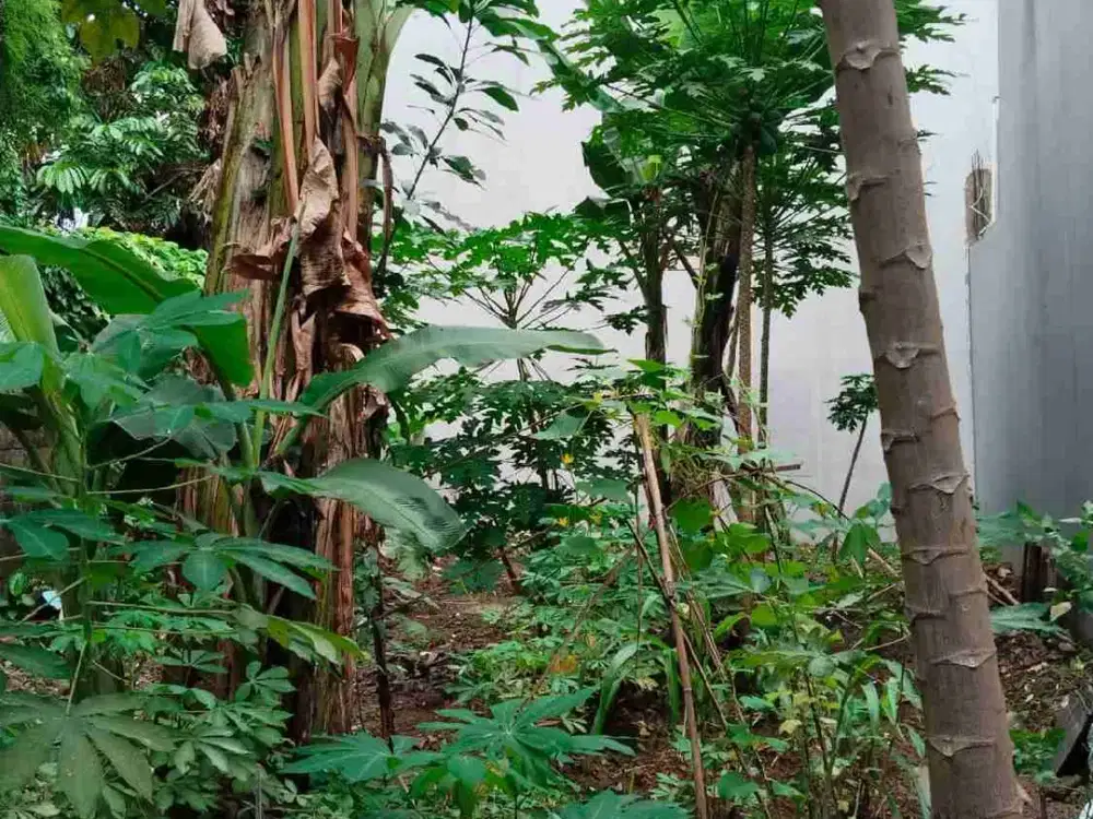 Dijual Kavling Strategis Dikawasan Premium Jagakarsa Jakarta selatan