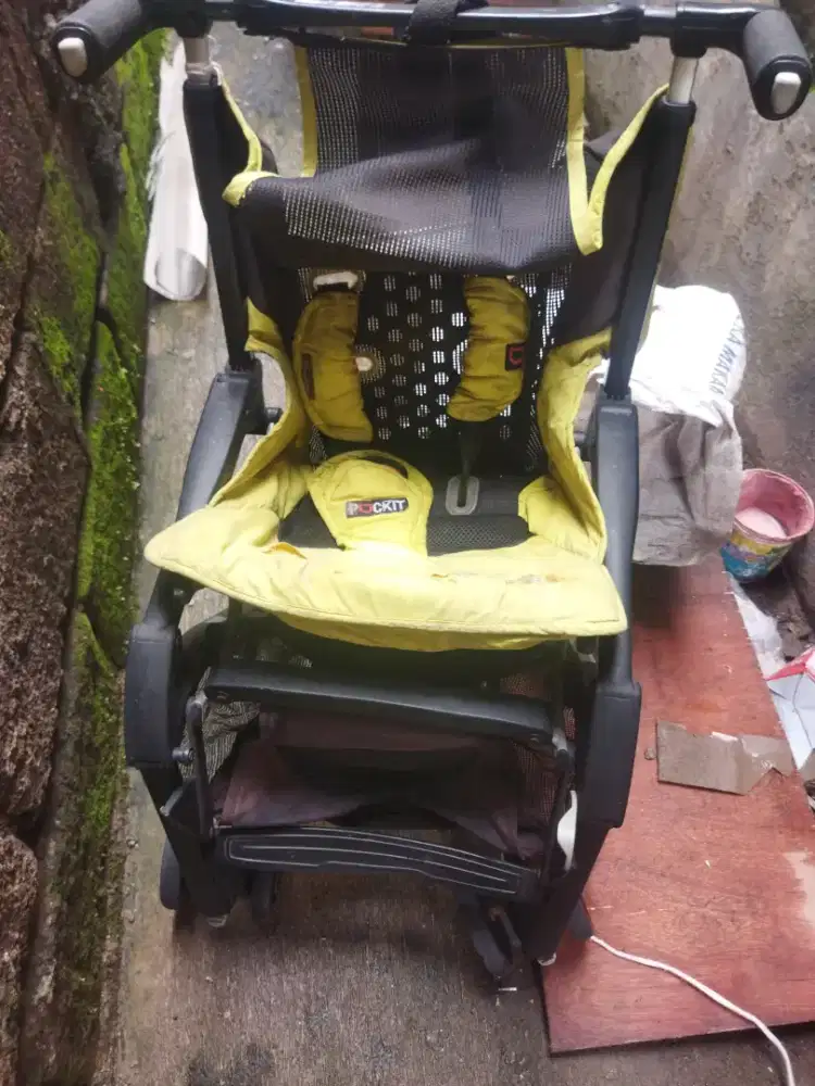 Ank nya dh besar dri pdh di buang