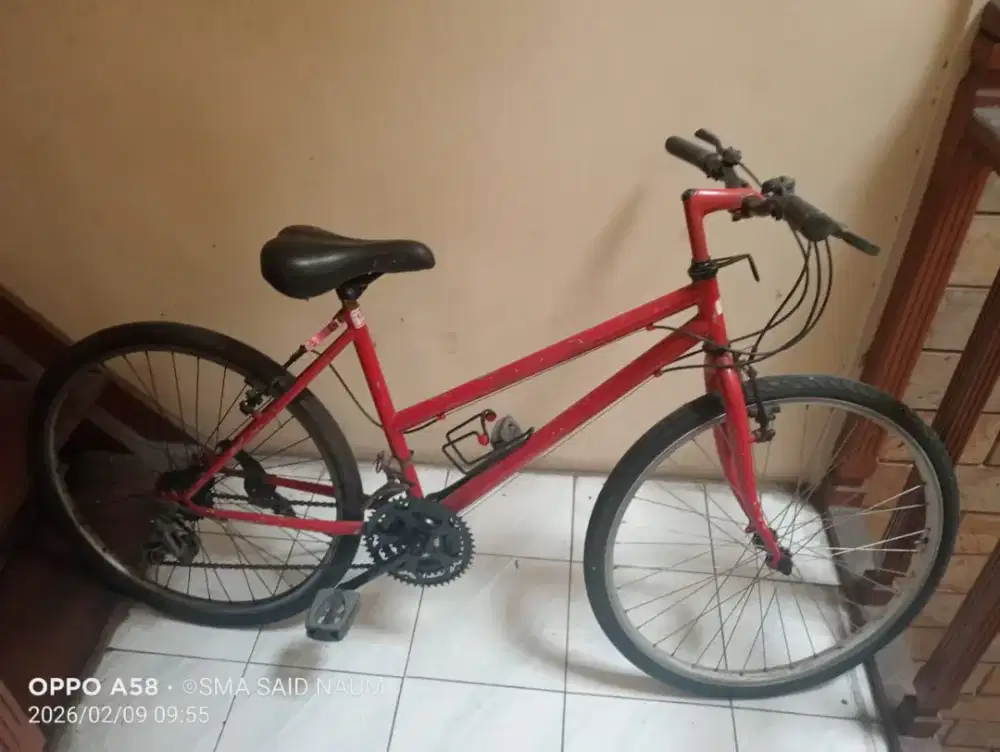 Sepeda gunung federal