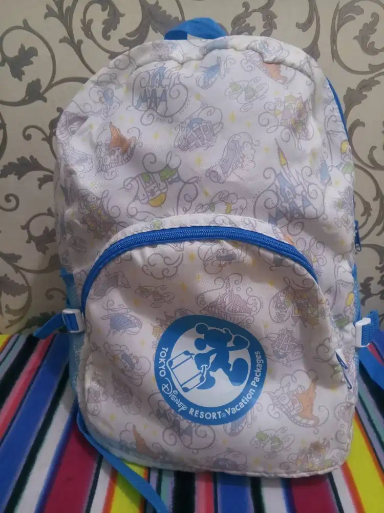 Disney bag from Disneyland tokyo
