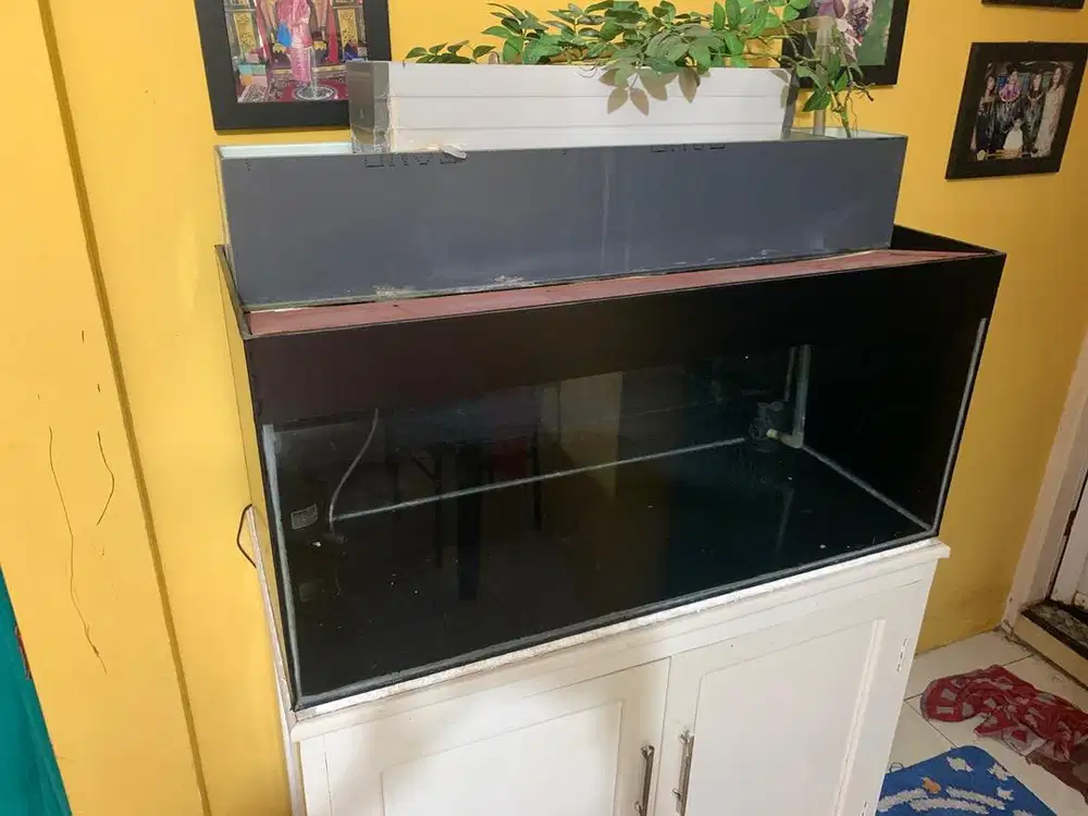 Aquarium  Bekas Jumbo
