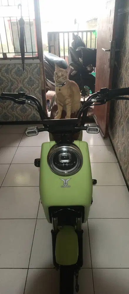 U-WINFLY  TERBAIK & TERMURAH