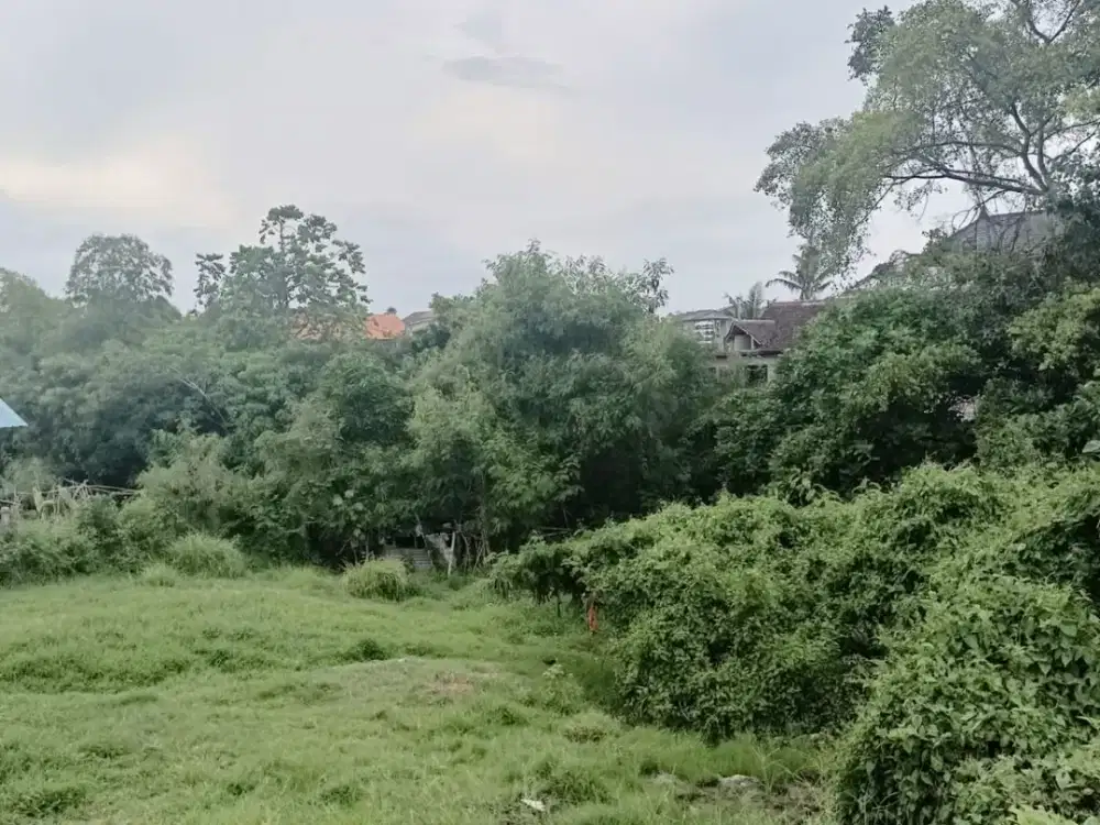 FOR SALE LAND PREMIUM CANGGU