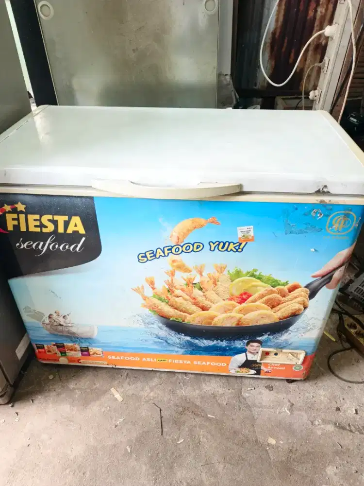 Freezer 200L ex frozen food