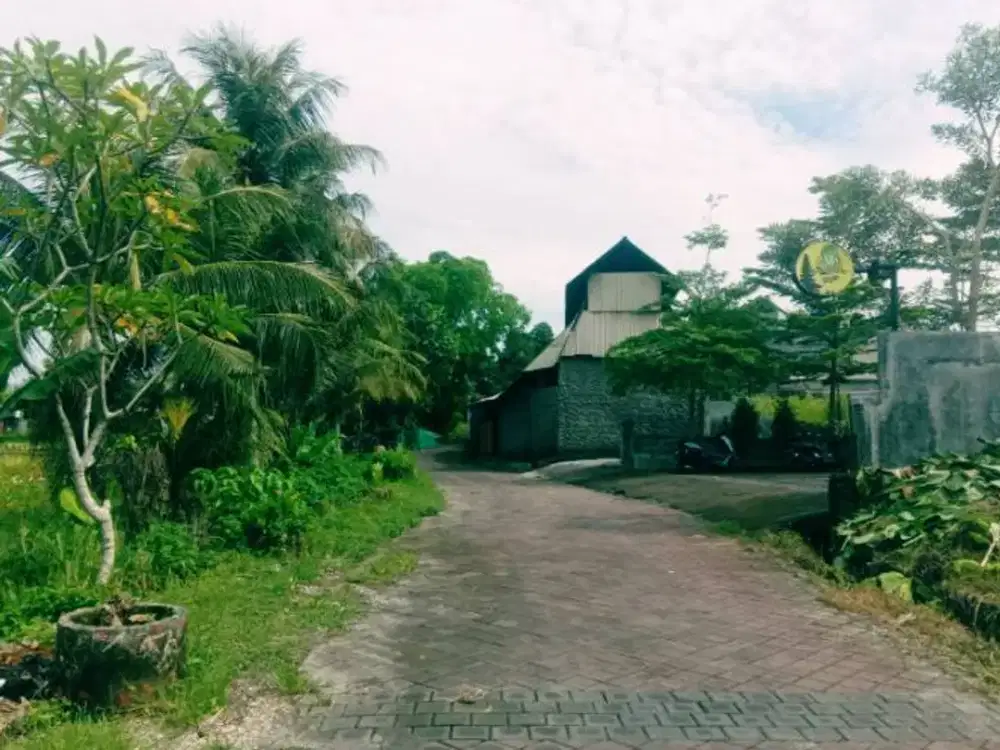 Jual Tanah Murah Bagus Di Jalan Raya  Angantaka Kutri Badung Bali.