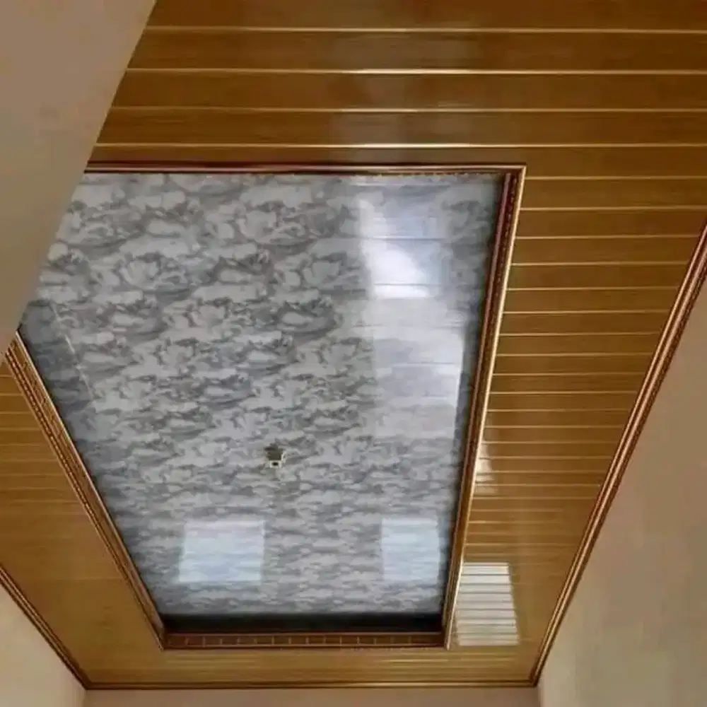 Plafon gypsum dan pvc