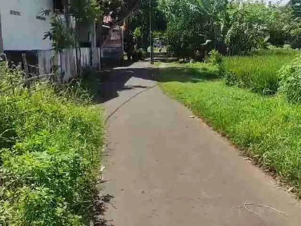 TANAH 1790M SHM MURAH CIAKAR PANONGAN DEKAT CITRA RAYA & PASAR CURUG TANGERANG